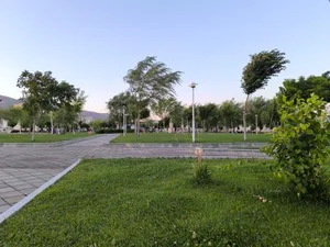 پارک شادی 2