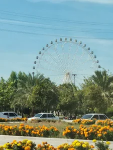 چرخ و فلک بوشهر