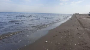 ساحل دریا