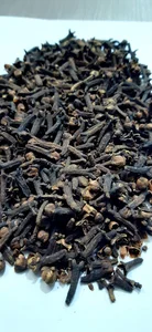 عطاری طب الائمه (ع)