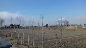 نمایشگاه سفیران