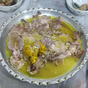 طباخی بره سفید ایلام 3