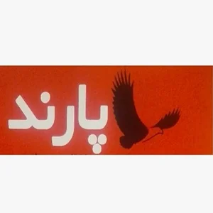 موسسه امنیتی پارند