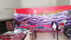 بورس زعفران شاکری