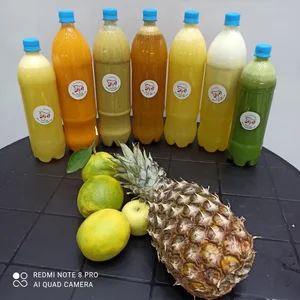 آبمیوه و بستنی آلوبالو 3