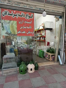 پرنده فروشی