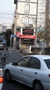 گل پارمیس 2