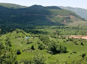 بره سر