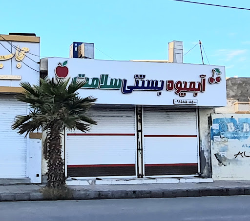 آبمیوه بستنی سلامت