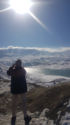 ملک بهاره خسروی