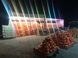 میدان کربلا جنب پمپ بنزین