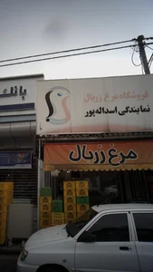فروشگاه مرغ زربال 2
