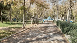 پارک جنگلی