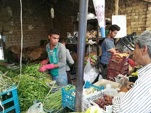 سبزی فروشی سلیمی