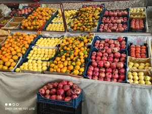 میوه مجلسی عمو حسن