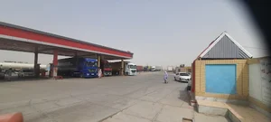 زهک