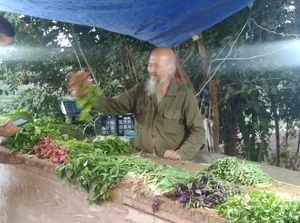 سلمان فارسی مجتمع مسکونی میخک
