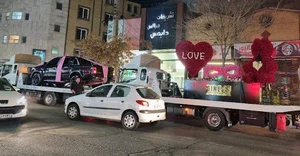 تشریفات مجلسی دایمس