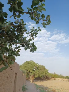 میدان پیروزی