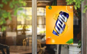رضا باخزری خیرآبادی 4