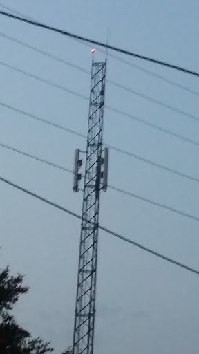 نان لواشی میر کشوری