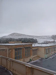 نمایندگی شاتل موبایل شیخی