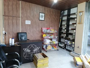 فروشگاه تخصصی زنبور عسل مداماز