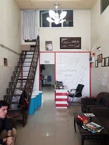 کلینیک دامپزشکی دی