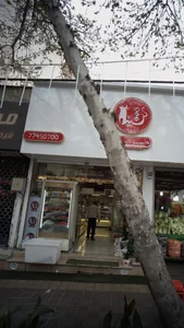 هایپر پروتئین سینا 2
