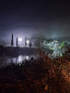 صنایع موج اصلی