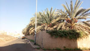 Quba City Souq