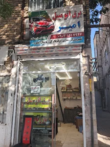 برق خودرو امیر