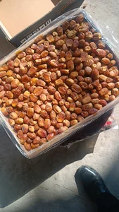 میوه خشک آتی