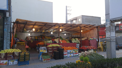 میوه فروشی ممدلی
