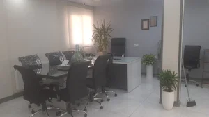 املاک شیر محمدی