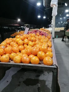 میوه و تره بار آبی 2