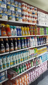شوینده بهداشتی مهدیار
