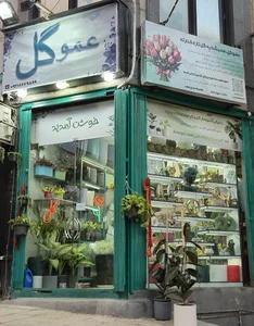 گلفروشی عموگل 2