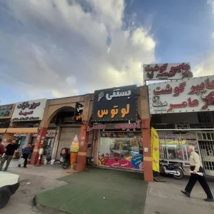 بستنی لوتوس 4