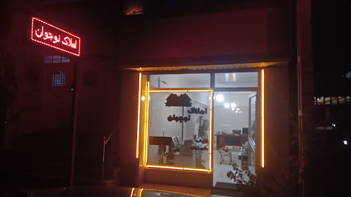 مشاور املاک نوجوان