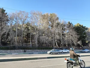 بوستان بلوار فاز 4