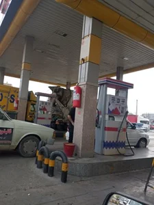 جایگاه اختصاصی 117 بهشتی (بنزین و گازوئیل) 2