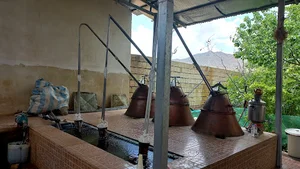 کارگاه گلاب گیری کعبه