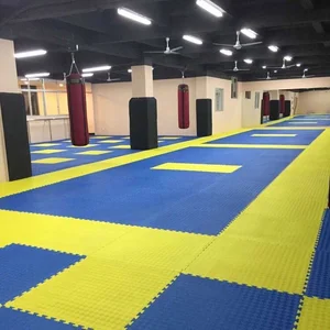 باشگاه رزمی آی کی دو