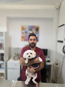 کلینیک دامپزشکی آوانو (Avano Veterinary Clinic)