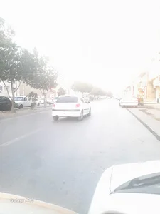 سبزی مارکت سلمه