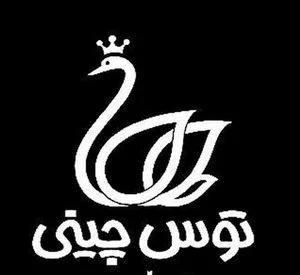 نمایندگی توس چینی سهیلی پور