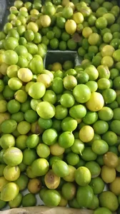 آبلیموگیری دهقان
