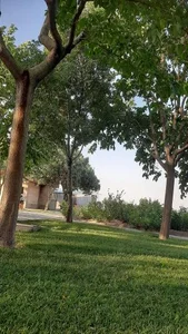 پارک کوهسار 2