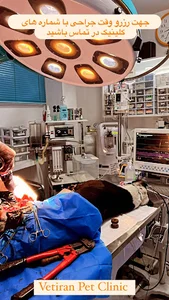 کلینیک دامپزشکی وت ایران Vetiran Pet Clinic